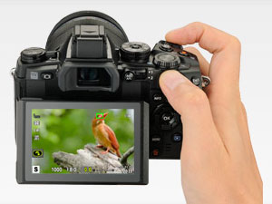 Olympus OM-D E-M1 review -- Articulated LCD
