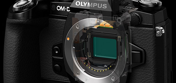 Olympus OM-D E-M1 review -- Cutaway of lens mount and sensor