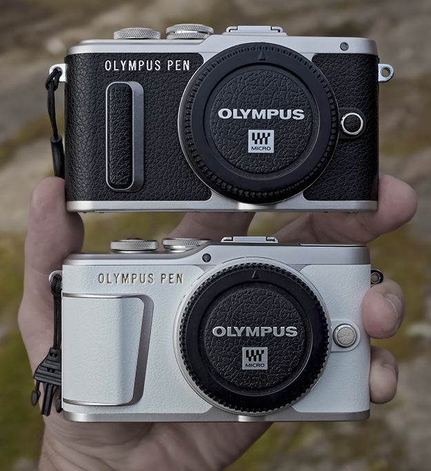 Olympus E-PL9 Review