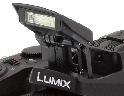 Panasonic Lumix DMC-FZ2500 Digital Camera DMC-FZ2500 B&H Photo