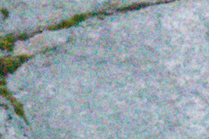 Panasonic GX8 Field Test -- Noise Test Image