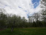 Click to see Y_1030136-HDR-OFF-COMPARISON.JPG