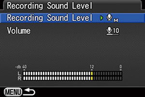 Pentax K-3 Review -- Audio levels control