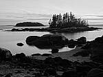 Click to see Y-JG-P1-XT-150MP-ACHROMATIC-13812-STACK-1.JPG