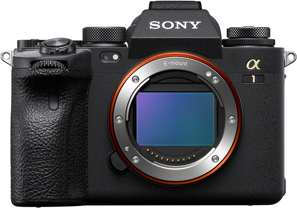 Sony A1 Review