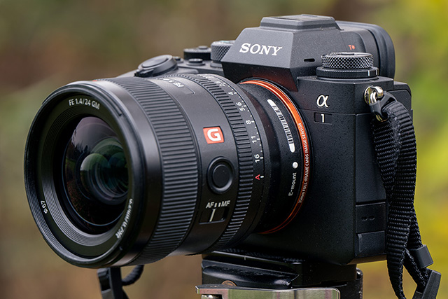 Sony A1 Review: Field Test -- Product Image