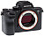 Sony Alpha ILCE-A7R III digital camera image