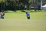 Click to see Y-SonyGolf-DSC09791.JPG