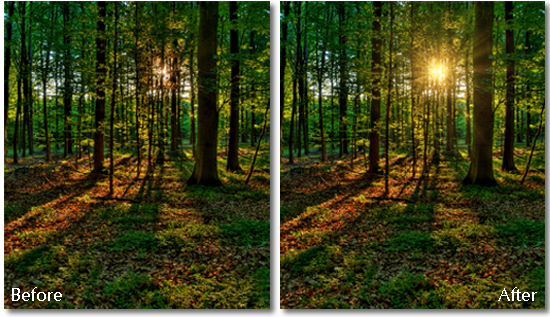 Before and after demonstration of Topaz Labs' upcoming Star Effects plugin. Image courtesy of Topaz Labs.