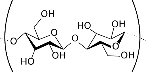 Chemical diagram of two glucose molecules linked together, like they are in cellulose. A single cellulose molecule is made up of from 50 to many hundred glucose molecules. Image courtesy Wikimedia Commons. Click for a bigger picture!
