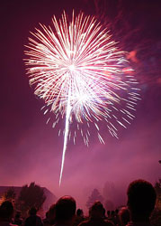 Fireworks, by C.J. Brown