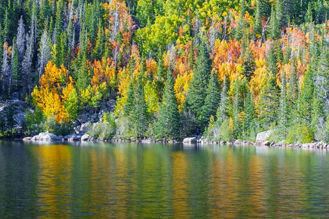Autumn color tips: How to improve the fall color in your photos