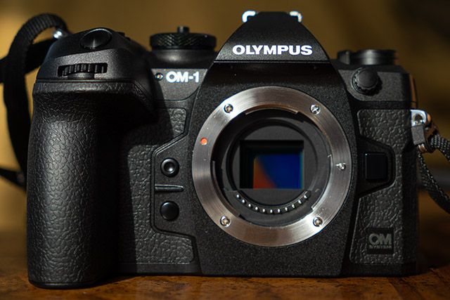 OM System OM-1 Hands-on Review: OM-1 sets a new standard for Micro Four Thirds tech