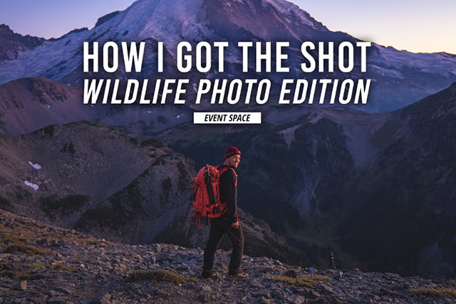 How I go the Shot with Nate Luebbe: Wildlife Photography Edition