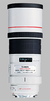 image of the Canon EF 300mm f/4L IS USM lens