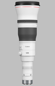 image of the Canon RF 1200mm f/8L IS USM lens