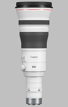 image of the Canon RF 800mm f/5.6L IS USM lens