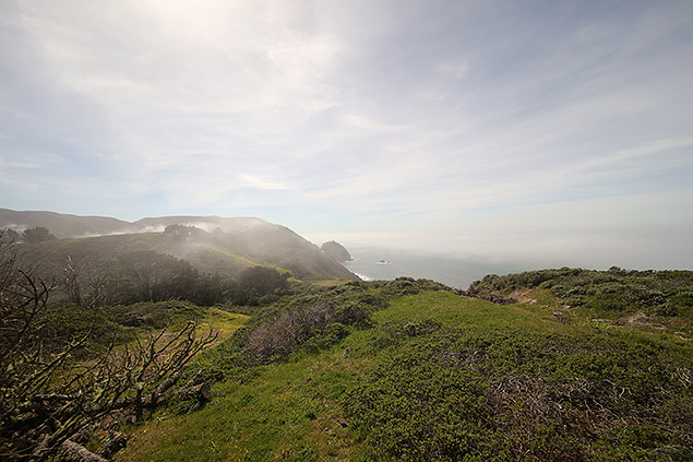 Laowa 12mm f/2.8 Field Test