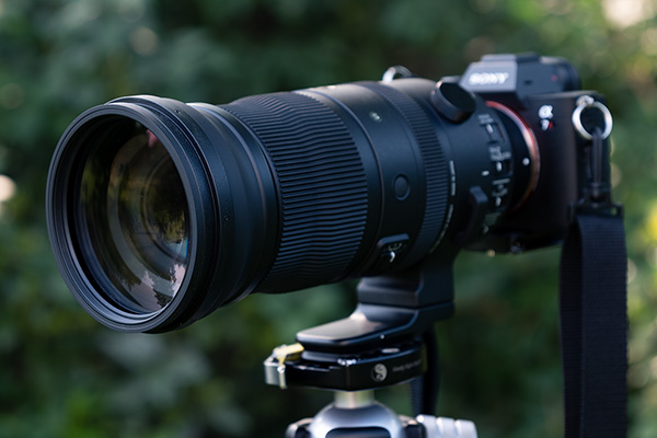 Sigma 150-600mm f/5-6.3 DG DN OS Sports Review: Field Test -- Product Image