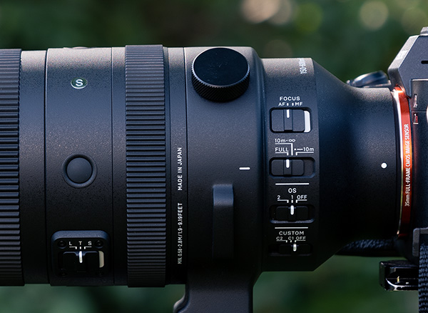 Sigma 150-600mm f/5-6.3 DG DN OS Sports Review: Field Test -- Product Image