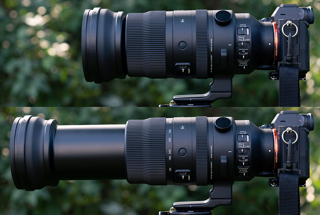Sigma 150-600mm f/5-6.3 DG DN OS Sports Review