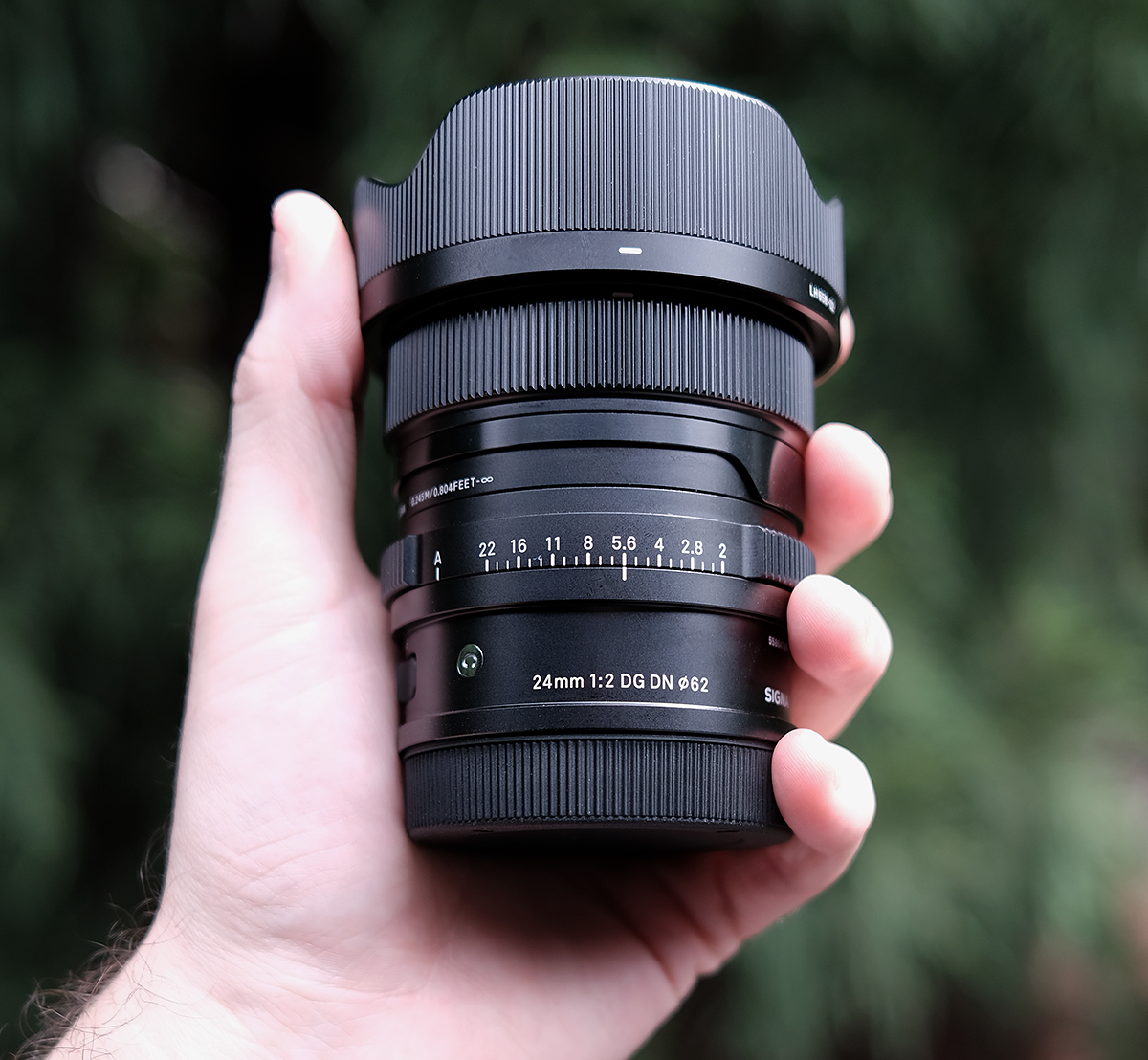 Sigma 24mm f/2 DG DN Contemporary Review