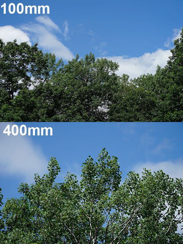 Sony FE 100-400mm f/4.5-5.6 GM OSS Review: Field Test -- Sharpness Test Image