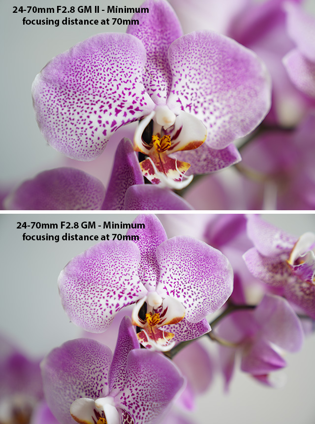 Sony FE 24-70mm F2.8 GM II Review -- Gallery Image