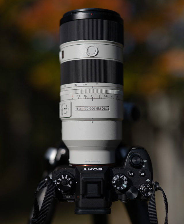 Sony FE 70-200mm f/2.8 GM OSS II Review: Hands-on Review -- Product Image