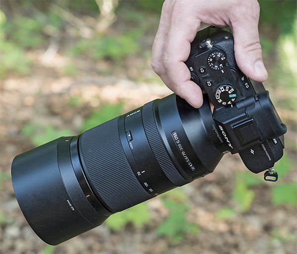 Sony 70-300mm G Review - Product shot